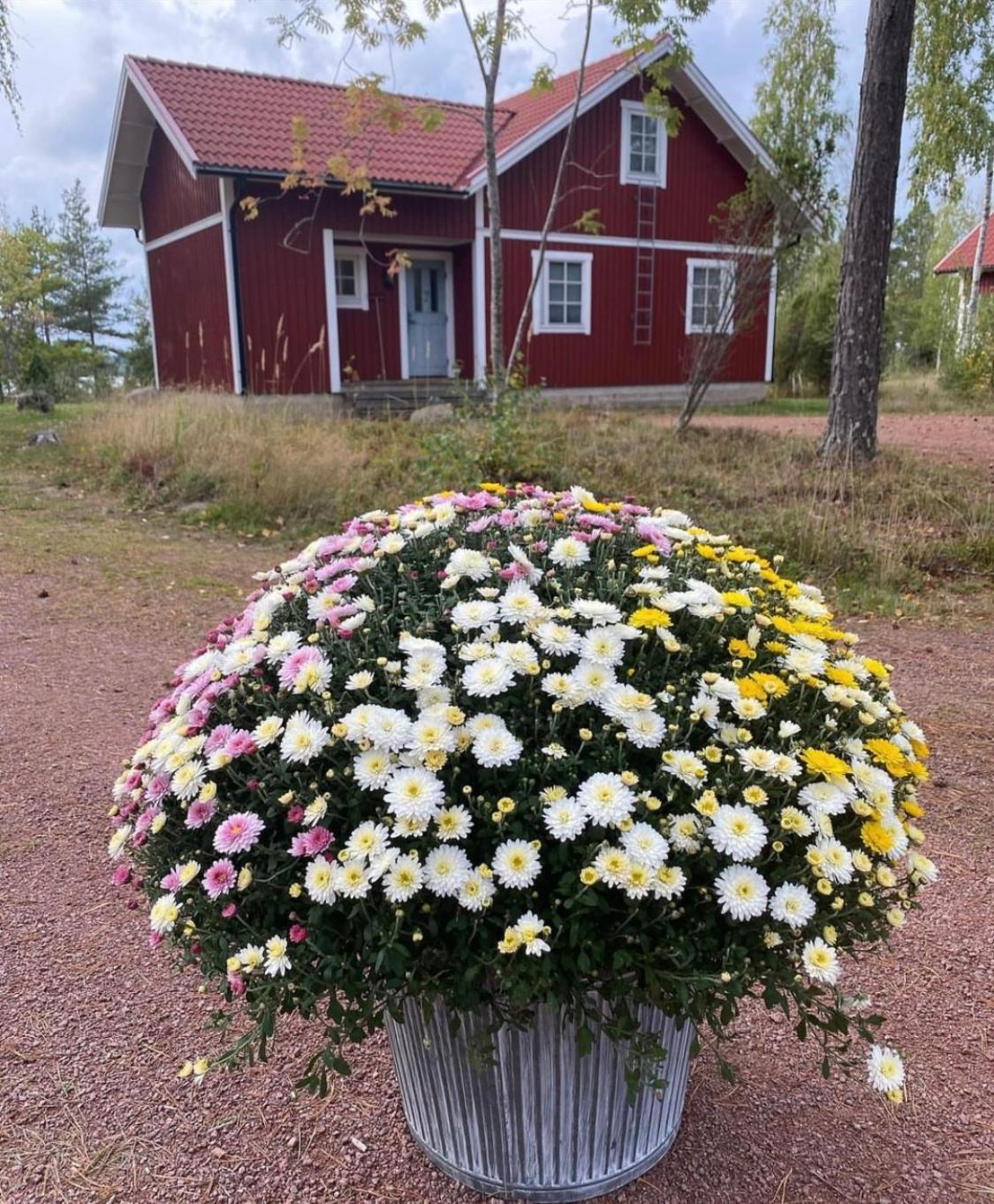 Norroe Holiday Village Bambole Bagian luar foto